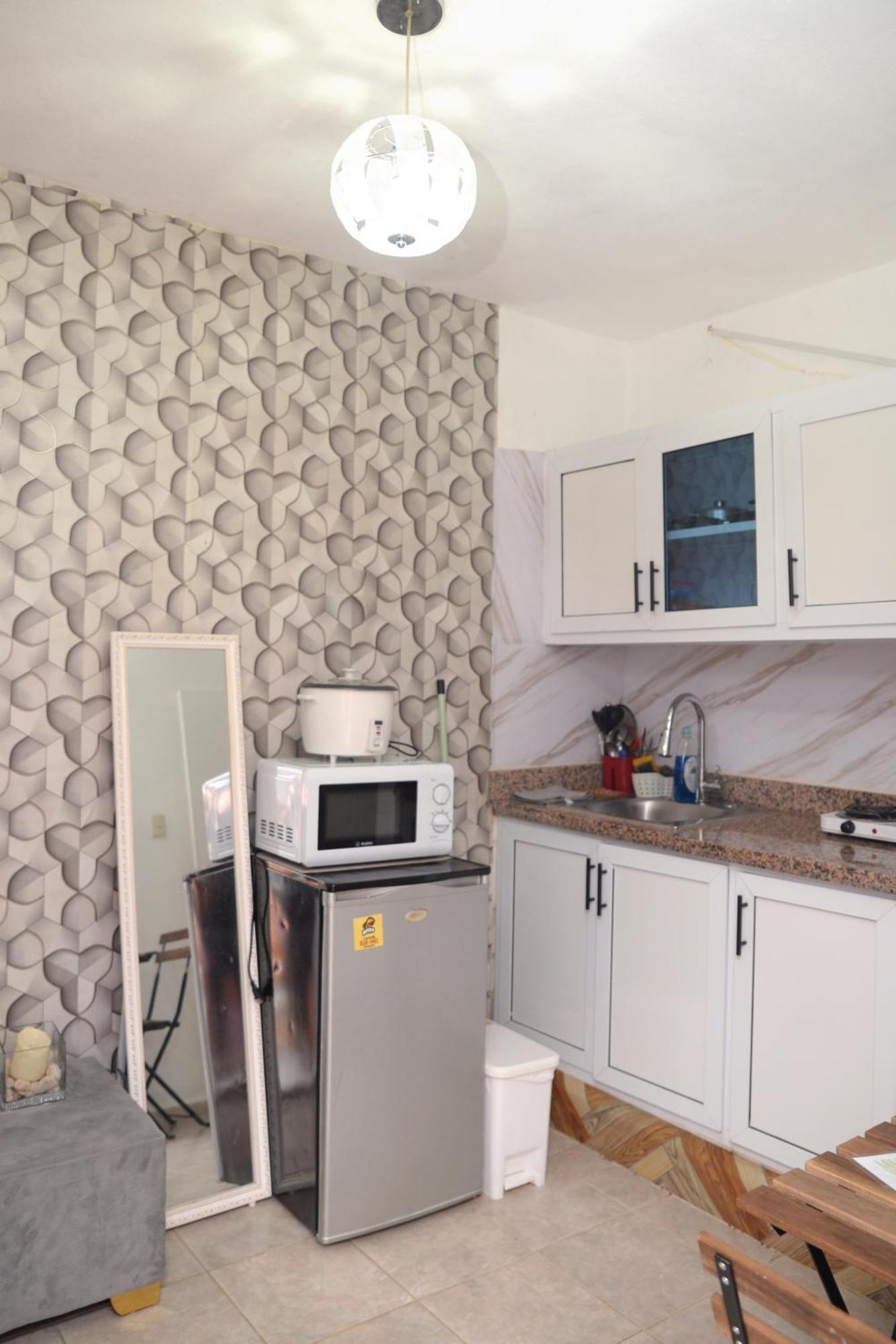 Apartamentos De 1 2 Y 3 Habitaciones Santiago De Los Caballeros Cameră foto